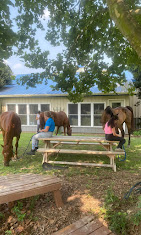 Images Star Ridge Stables