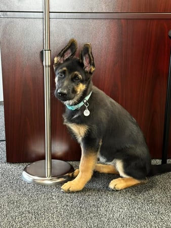 Images Marjorie Schaeffer - State Farm Insurance Agent