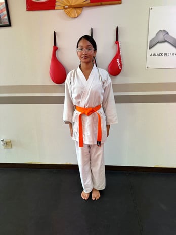 Images Jaguar Dojo