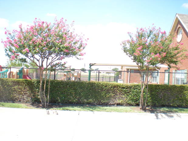 Images Primrose School of Prestmont