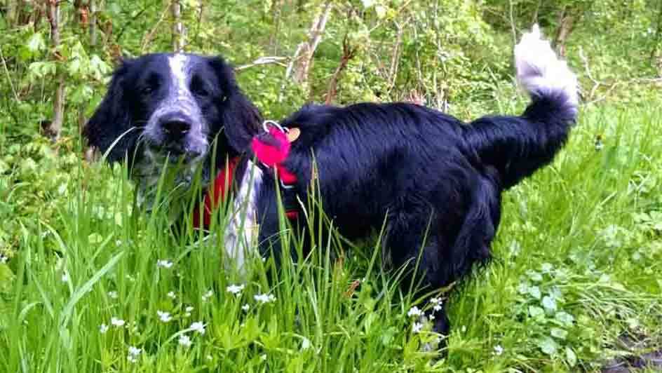 Images Store Heddinge Dyrehospital