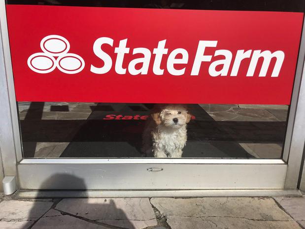 Images Jamie Barger - State Farm Insurance Agent