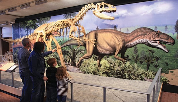 Images Holiday Inn Express & Suites Vernal - Dinosaurland by IHG