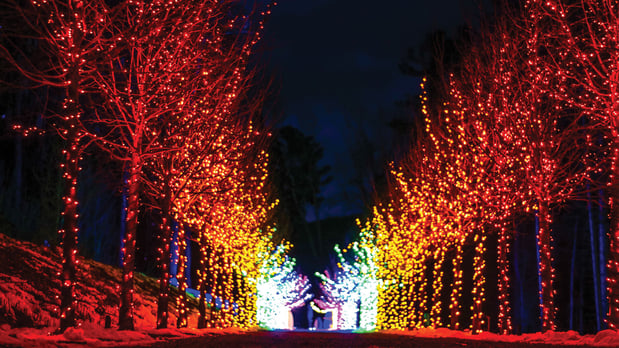 Images Holiday Inn Express & Suites Pittsfield-Lenox-Berkshires by IHG