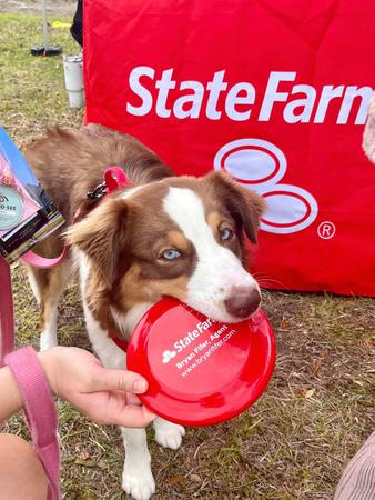 Images Bryan Fifer - State Farm Insurance Agent