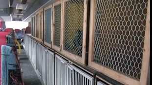 Images King Tours/Övermark Finans Ab