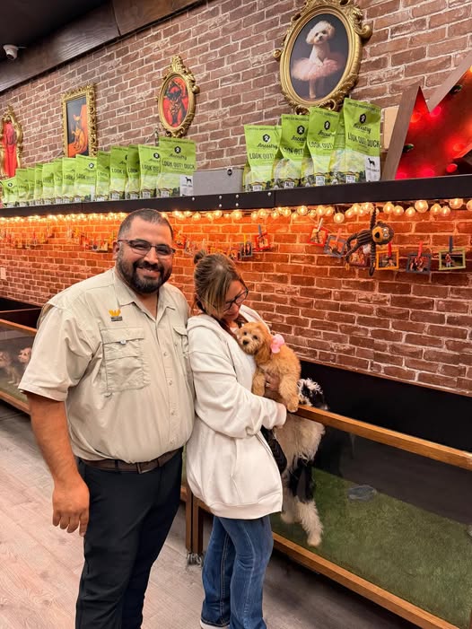 Puppies Direct Image