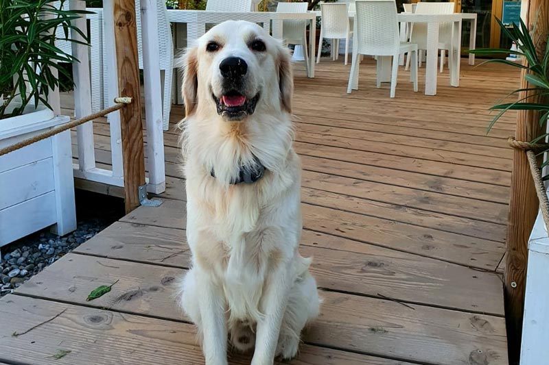 Images Aquarium Residence