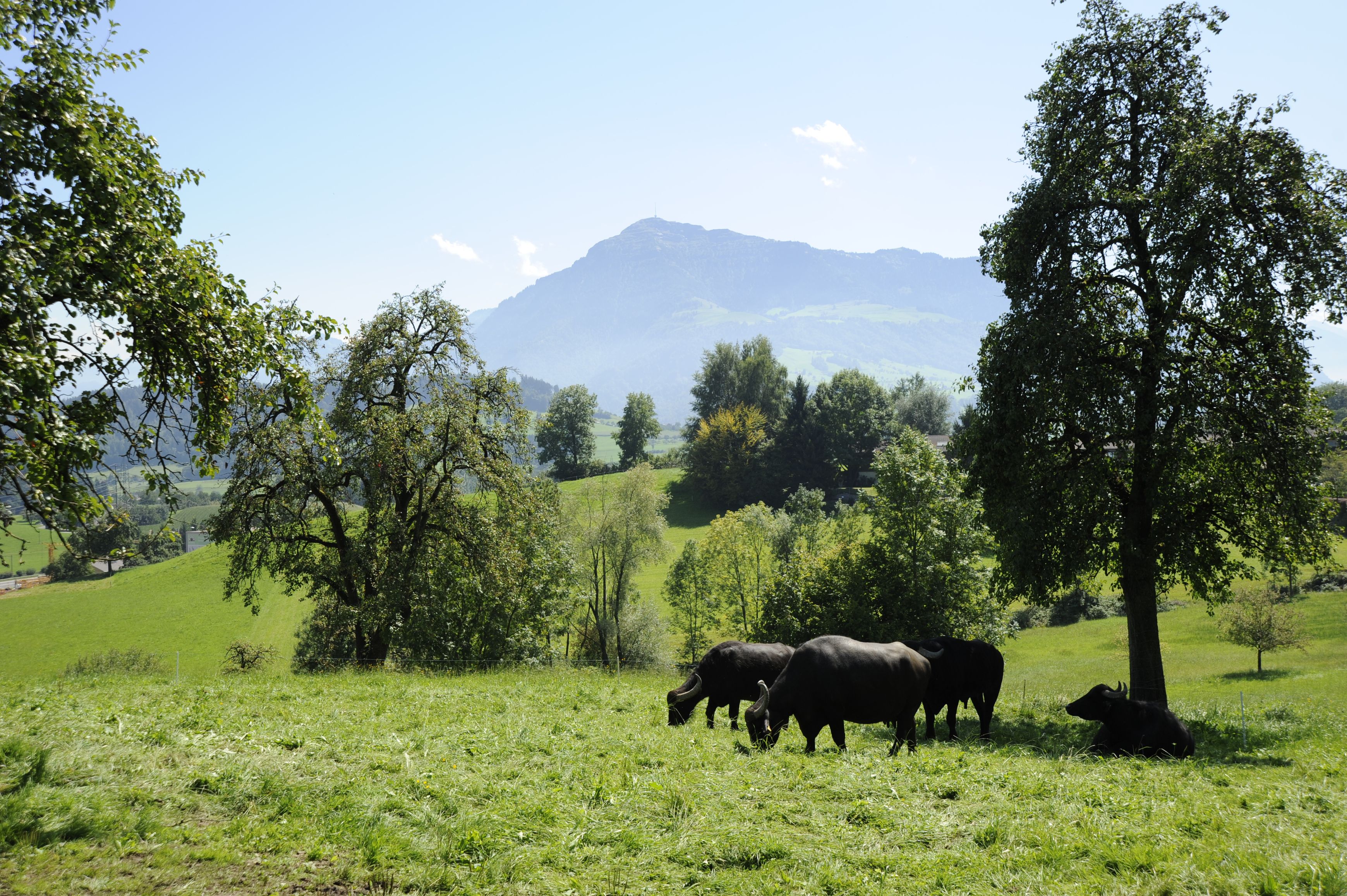 Bilder Chäs-Hütte