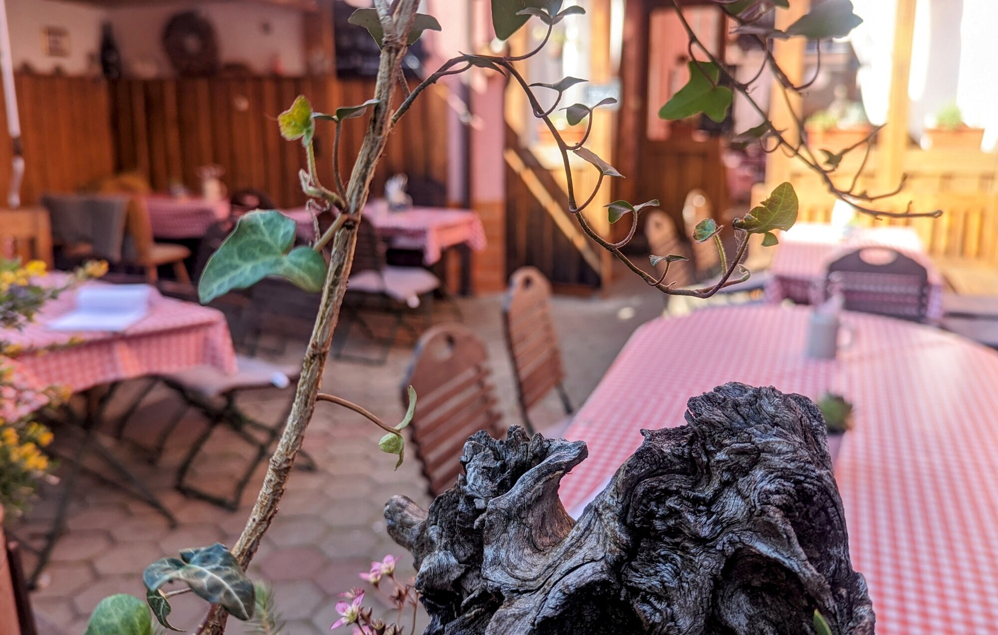 Gasthof Hotel Rose, Gaulberg 2 in Eisenheim