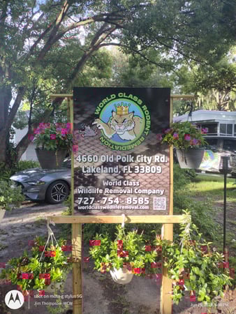 Images World Class Wildlife Removal And Rodent Remediation Co.