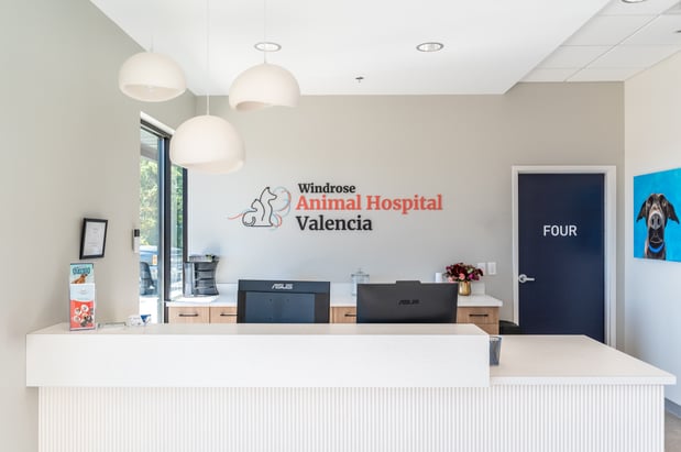 Images Windrose Animal Hospital Valencia