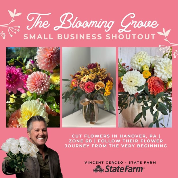 Images Vincent Cerceo - State Farm Insurance Agent