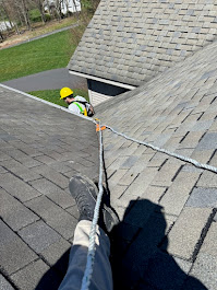 Images United States Pest Service, LLC