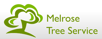 Melrose Tree & Landscaping