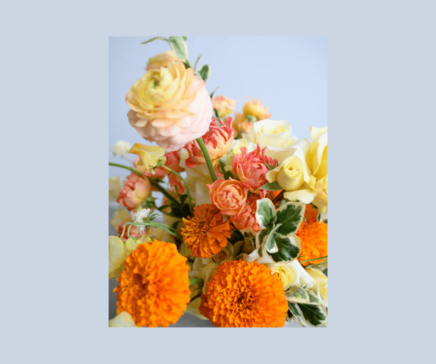Images Amaranth Florist