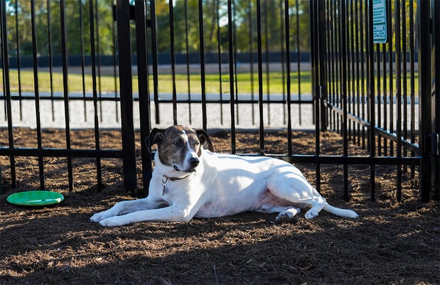 Images Arlo's RV Resort