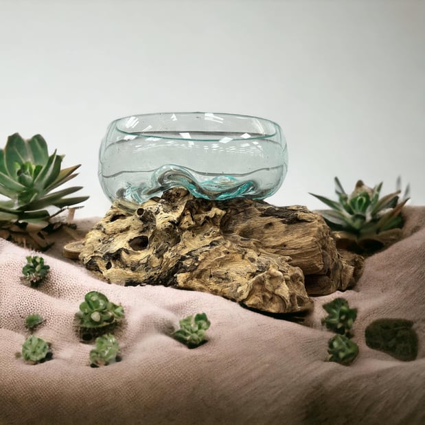 Images Smokers Outlet and Grow