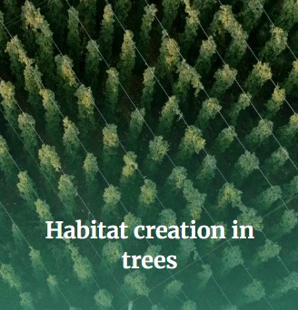 Advanced Tree and Environmental Consultancy 7