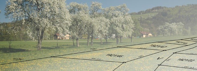 Dipl-Ing. Dr. Ferdinand Schlögelhofer, Wagmeisterstraße 13 in Amstetten