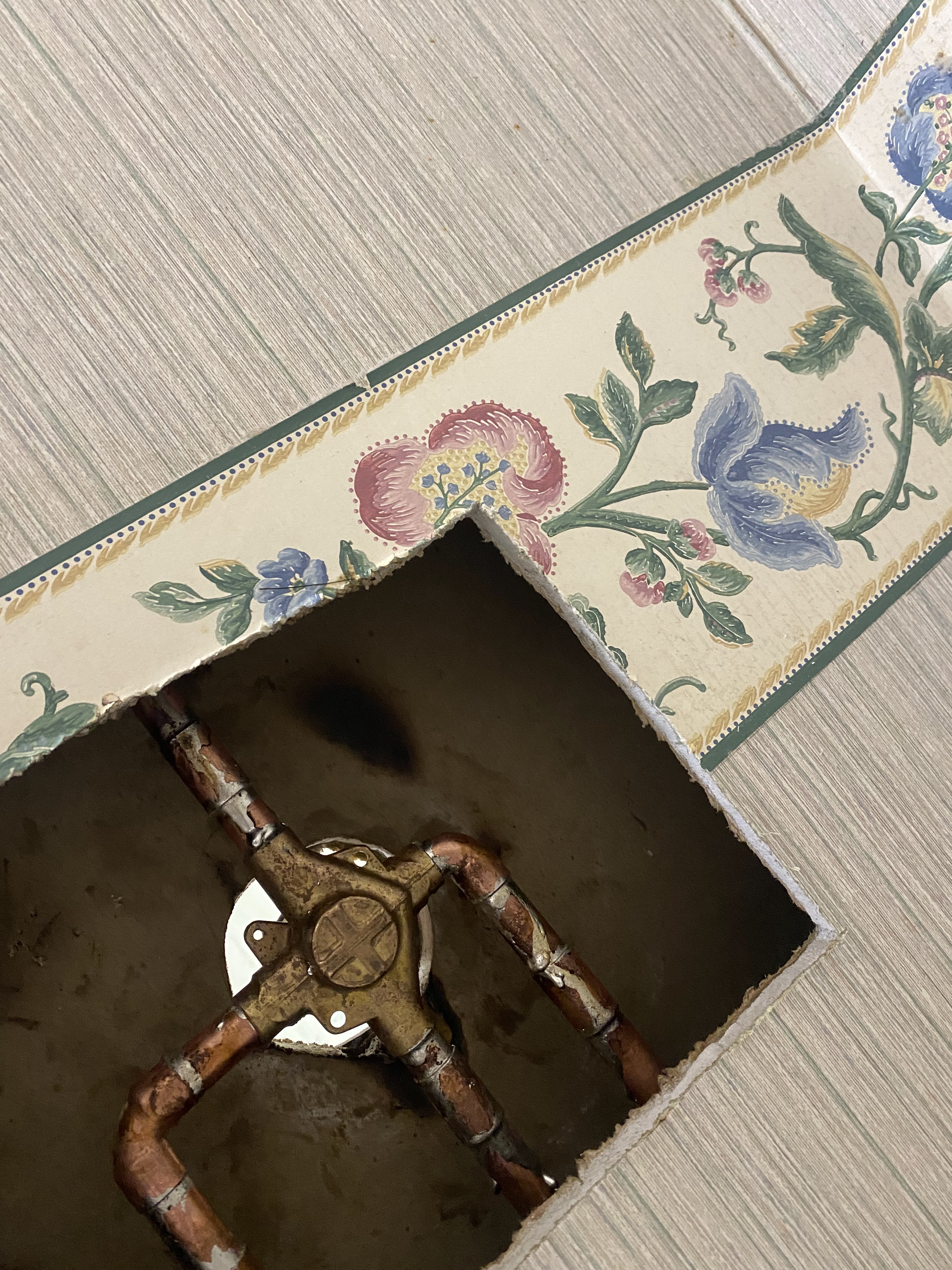 Images DrainCam Plumbing