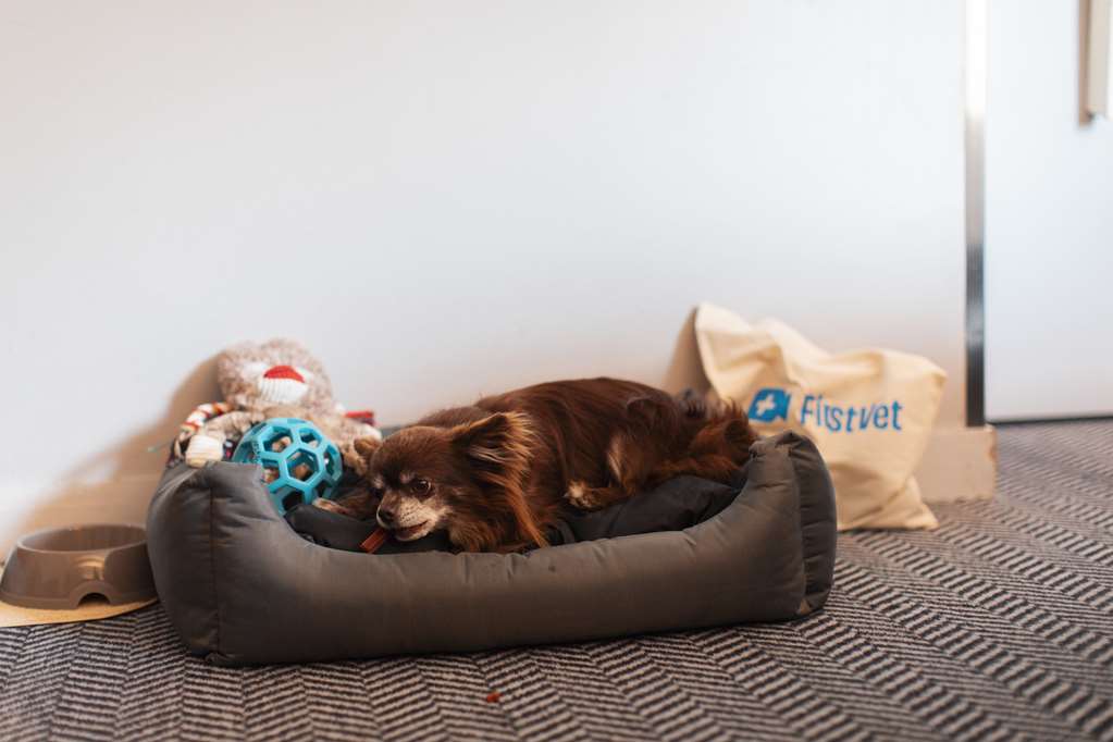 Images Radisson Blu Arlandia Hotel, Stockholm-Arlanda