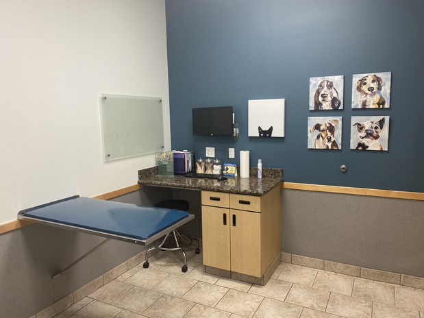 Images VCA Santa Margarita Animal Hospital