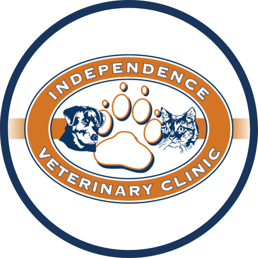 Independence Veterinary Clinic - Charlotte, NC 28227 - (704)841-1313 | ShowMeLocal.com
