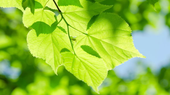Images Ähtärin seurakunta