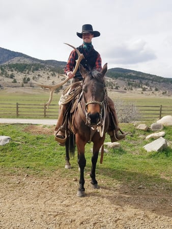 Images Sylvan Dale Guest Ranch & Wedding Venue