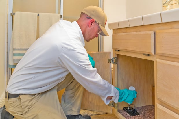 Images Newman Termite & Pest Control