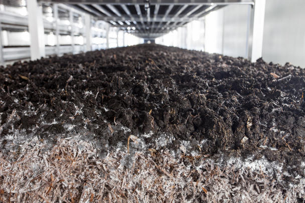 Images Societa' Agricola Porretta - Le Ghiottone