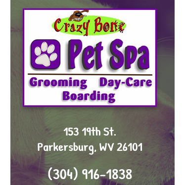 Crazy Bone Pet Spa Logo