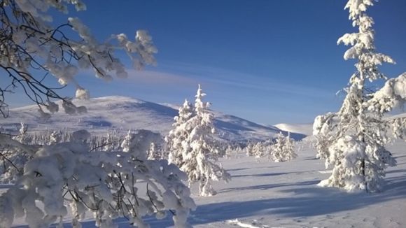 Images Lomamaja Pekonen