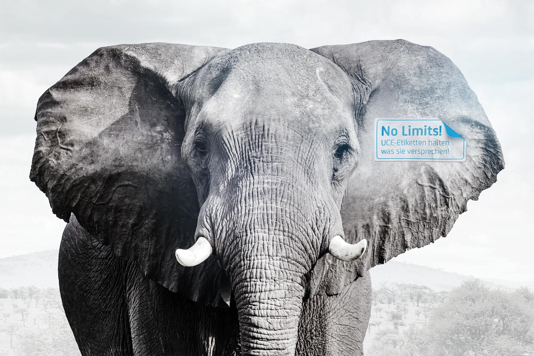 UCE GmbH, Bayreuther Straße 32 in Heinersreuth