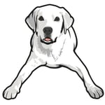 Tucker Pup's Pet Resort Logo