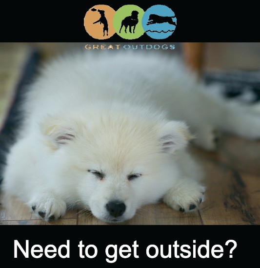 Images Great Outdogs