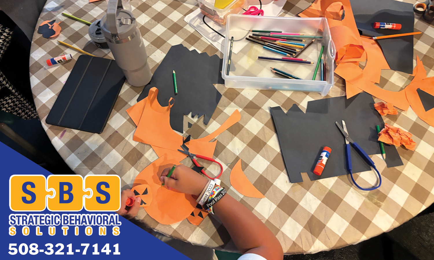 Strategic Behavioral Solutions Image