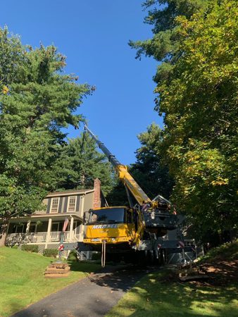 Images Martel Crane Service & Tree Removal