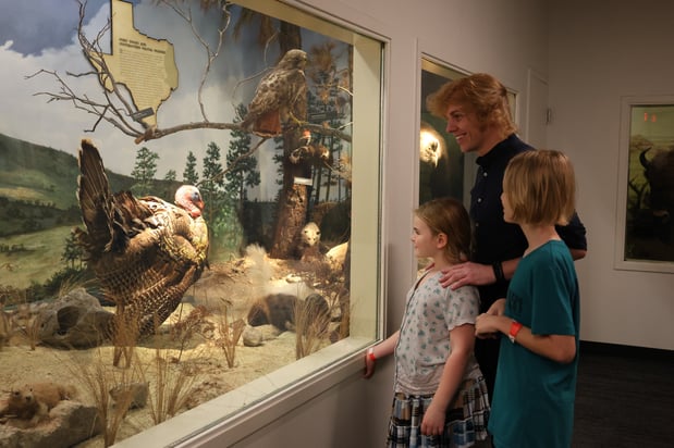 Images Texas Science & Natural History Museum