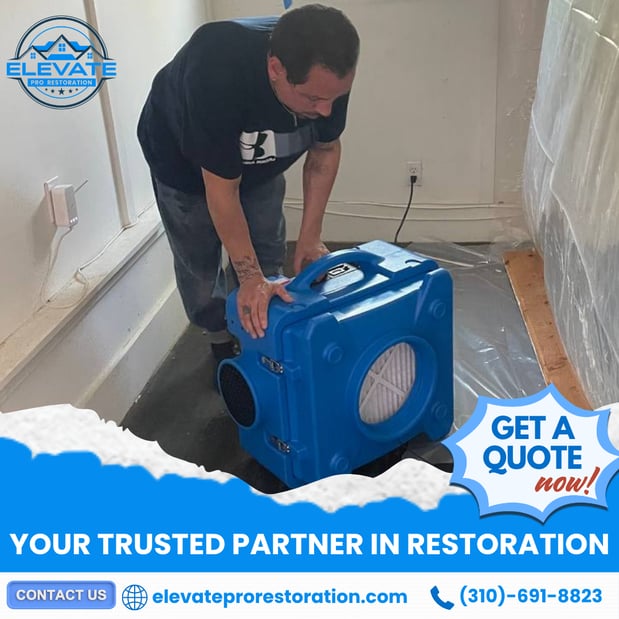 Images Elevate Pro Restoration