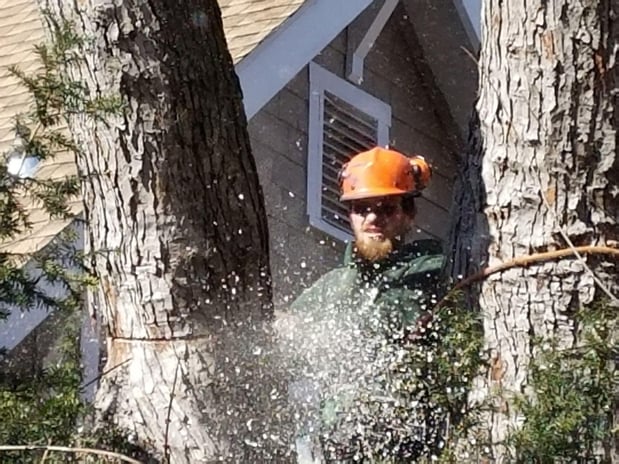 Images Keil Tree Experts Inc