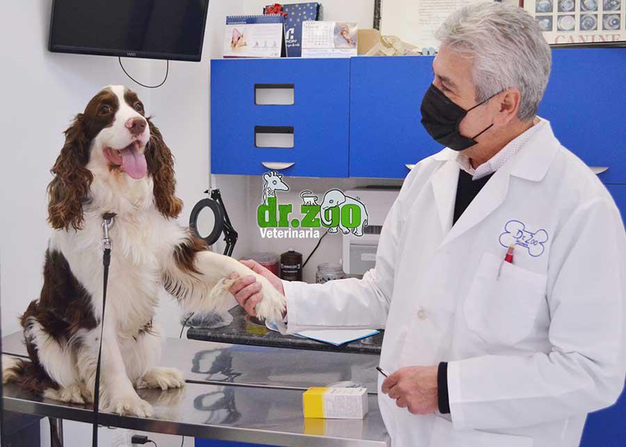 Arriba 32+ imagen dr rivera veterinario playas tijuana Viaterra.mx