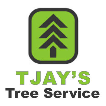 TJays Tree Service Logo