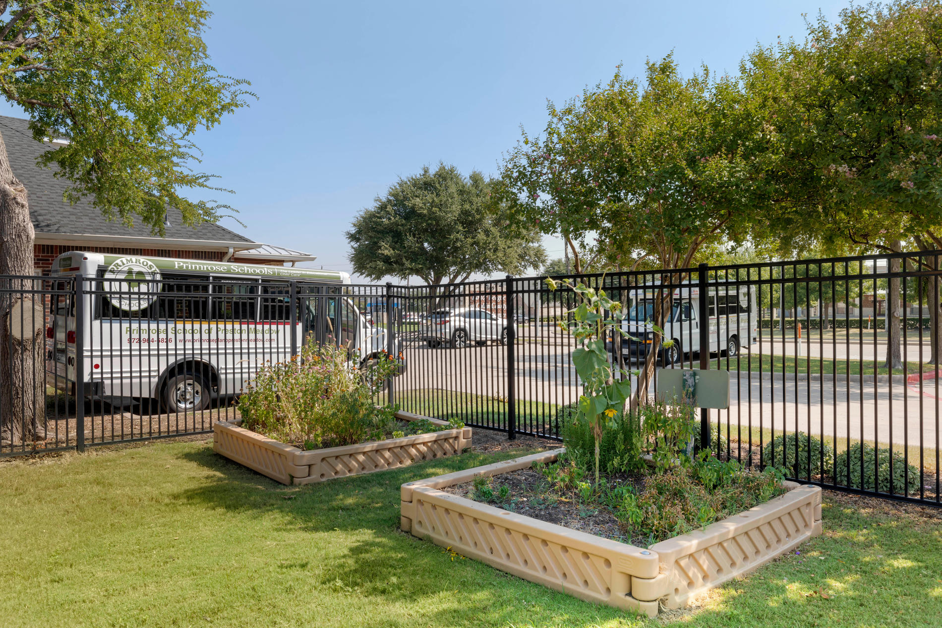 Images Primrose School of Plano at Preston Meadow