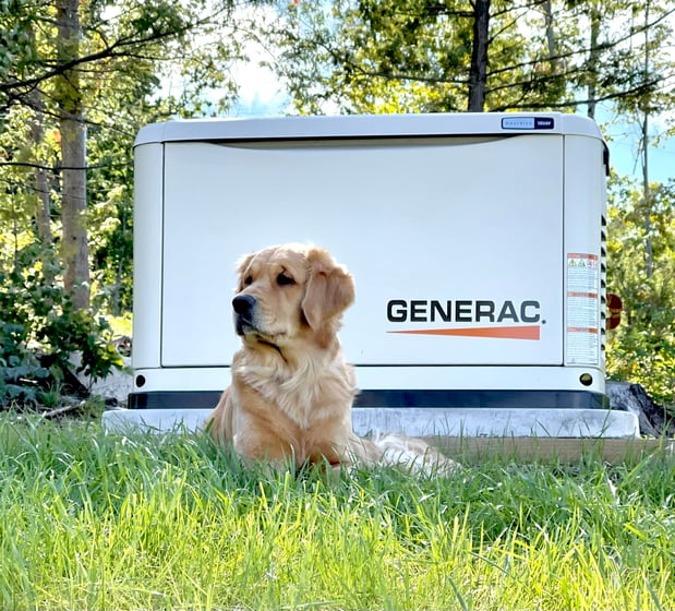 Images Bedell’s Electric