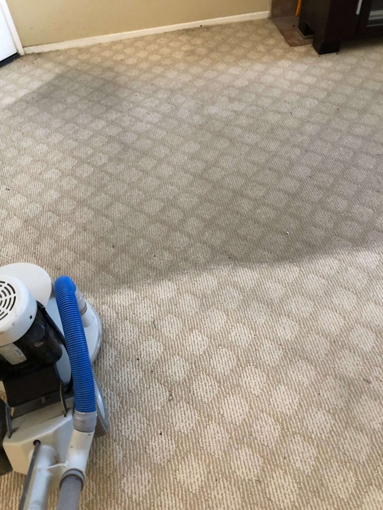 Carpet cleaning in Eastvale, CA