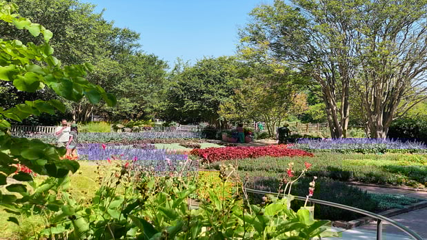 Images Holiday Inn Express & Suites San Antonio Rivercenter Area by IHG