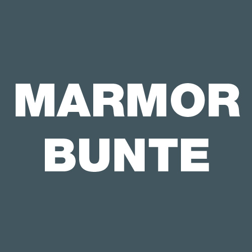Peter Bunte Marmor in Salzkotten - Logo