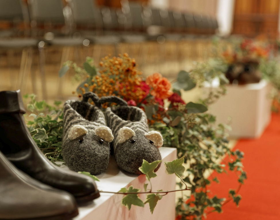 Bilder Wollring